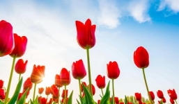 Tháng 9-10 Âm lịch: 3 con giáp này gặp được quý nhân, chuẩn bị đổi vận, đếm tiền mỏi tay