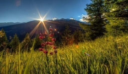 15 ngày tới: 3 con giáp này sáng tạo và nỗ lực không ngừng thì cuộc sống ngập tràn may mắn và hạnh phúc