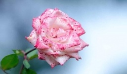 30 ngày tới: 3 con giáp này được Thần May Mắn gọi tên, khổ tận cam lai, hầu bao rủng rỉnh