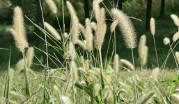 Sau ngày 26/10: 3 con giáp này được quý nhân đưa đường dẫn lối, sự nghiệp mã đáo thành công