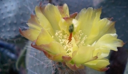 2 tháng cuối năm: 3 con giáp này vượng quý nhân, sự nghiệp lên dốc như được gắn tên lửa