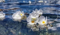 Từ ngày 3/11: 3 con giáp này được quý nhân, Thần Tài bảo hộ, biết chớp cơ hội thì chẳng mấy mà giàu