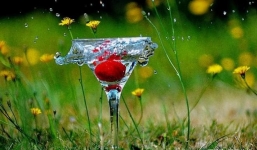 66 ngày tới: 3 con giáp này khổ tận cam lai, tình tiền viên mãn