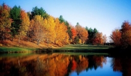 Từ ngày 4-24/11: 3 con giáp được cát tinh soi chiếu, chuyển vận thành công, tài lộc hùng hậu