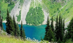 Từ ngày 9/11: Trời ban cơ hội, 3 con giáp này chớp nhanh thì tài lộc thông thuận