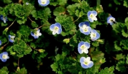 Từ 11-22/11: Top 3 con giáp nỗ lực sẽ có có vận khí cầu vồng, tài lộc dồi dào, sự nghiệp không bại