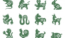 Tử vi 12 con giáp hôm nay ngày 14/11/2023: Tuổi Sửu tình cảm thuận lợi, tuổi Thân chú ý giao tiếp