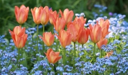 Từ nay đến 6/12: Top 3 con giáp này được quý nhân chống lưng, tài vận đeo bám, sự nghiệp lên dốc phà phà