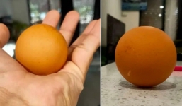 Gà nhà đẻ được quả trứng hiếm 'tỷ quả có một', người đàn ông sắp vỡ bấm món tiền khủng