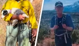 CẢM ĐỘNG: Chú chó gầy rộc, mất nửa trọng lượng cơ thể sau 10 ngày nằm canh người chủ quá cố