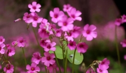 Phụ nữ lâu ngày thiếu tình yêu: Bạn có phải nạn nhân của 4 biểu hiện 'bất thường' này?