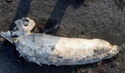  Đang đi dạo dọc bờ biển, 2 người đàn ông chạm mặt 'quái vật biển' dị thường, giới khoa học sục sôi khi chứng kiến