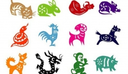 Tử vi 12 con giáp hôm nay ngày 4/1/2024: Tuổi Tý làm gì cũng thiếu kiên nhẫn, tuổi Mùi nhượng bộ sẽ may mắn