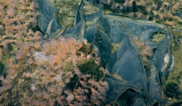 Phát hiện núi lửa thời tiền sử đang hoạt động, là lò ấp cho hàng triệu quả trứng khổng lồ ngoài khơi Thái Bình Dương