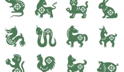 Tử vi 12 con giáp hôm nay ngày 5/1/2024: Tuổi Mão đạt nhiều thành tựu, tuổi Tuất gặp may về tài chính