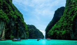 Đang dạo biển Phuket, du khách phát hiện sinh vật biển khổng lồ, toàn màu trắng cực quý hiếm