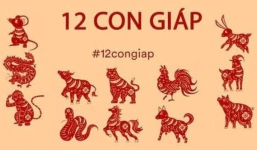 Tử vi 12 con giáp hôm nay ngày 15/1/2024: Tuổi Mão lười biếng, tuổi Ngọ hãy tiết kiệm