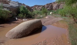 Hì hục đào hầm săn kho báu, người đàn ông thành tội đồ khiến giới khảo cổ rúng động