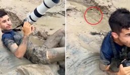 Đang lội bùn chụp ảnh, chàng trai hoảng hồn vì rắn biển cực độc mon men ngay trên đầu