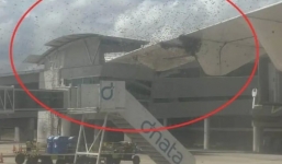 Hành khách và phi hành đoàn 'xịt keo' khi máy bay bị hàng ngàn con ong bao vây