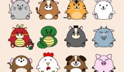 Tử vi 12 con giáp hôm nay ngày 28/1/2024: Tuổi Dần nhớ kiểm chứng thông tin, tuổi Hợi nhiều cơ hội sự nghiệp