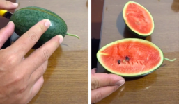 Cô gái trồng dưa hấu trong thùng xốp và cái kết bất ngờ