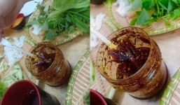 Phát hiện con gián trong hũ sa tế, khách nữ phản ánh thì được giải thích: 'Đó là ram'