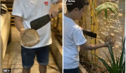 Nhã Phương thót tim với màn bổ dừa cực lầy của Trường Giang