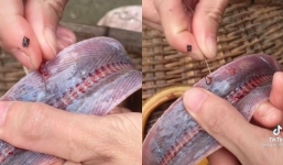 Đang chế biến con lươn, cô gái khiến dân mạng kinh hãi khi lôi ra 2 con sán đỏ dài ngoằng
