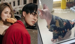 Sau phát ngôn 'nghèo nhưng không hèn' của Đạt G, Du Uyên liền có động thái mới