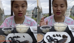 Sau clip ăn chân gấu phản cảm, Quỳnh Trần JP tiếp tục ăn uống kinh dị nhưng được khán giả gật gù ủng hộ