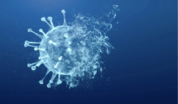 Xuất hiện chủng Omicron 'tàng hình' với 80 đột biến, tăng tỷ lệ tái Covid-19 cao