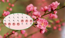 NÓNG: Đề xuất nghỉ Tết Nguyên đán 2023 sớm cho NLĐ