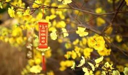 Lịch nghỉ Tết Nguyên đán 2023: Thống nhất đề xuất cho công chức, viên chức nghỉ 7 ngày