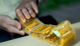Giá vàng hôm nay 8/11: Vàng trong nước lao dốc không phanh 