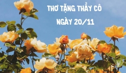 Những bài thơ hay, ý nghĩa nhất tặng thầy cô nhân ngày Nhà giáo Việt nam 20/11