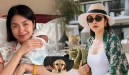 Tăng Thanh Hà bị 'nhân vật' này phá bĩnh dù đã yêu cầu cần yên tĩnh để làm việc 