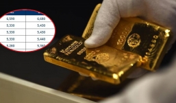 Giá vàng hôm nay 23/12, vàng SJC 9999 10K 14K 18K 24K: Lao dốc tụt giảm