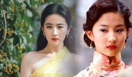 Lưu Diệc Phi và quá khứ đen tối không muốn nhìn lại: Từng diễn dở đến mức nam chính bỏ quay