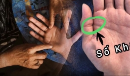 Cổ nhân nói chẳng sai, chỉ cần 1 trong 4 đặc điểm này ở lòng bàn tay cũng đã khổ đủ đường