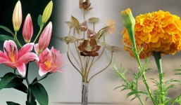 Góc phong thủy: 3 loại hoa tuyệt đối không nên trưng trên bàn thờ nếu không muốn tài lộc tiêu tán