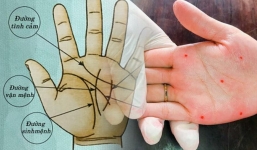 Cổ nhân nói không sai: Người có 3 đặc điểm này trong lòng bàn tay cả đời dư dả