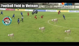 LĐBĐ Indonesia đòi kiện chủ nhà Việt Nam vì cho tập ở 'sân chăn bò'