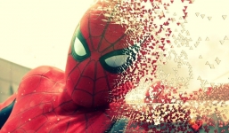 Đàm phán bản quyền thất bại, Marvel lại có nguy cơ mất Spider Man 