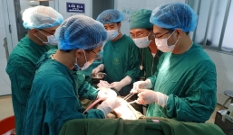 Chồng đâm thấu ngực vợ, đập đá vào đầu mẹ vợ vì mâu thuẫn cá nhân