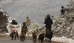 Không khí lạnh tràn về, Sapa và Lào Cai chuyển sang rét đậm