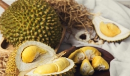 Ăn sầu riêng khi mang thai có an toàn không?