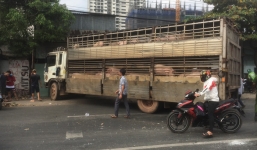 Xe chở heo đâm vào nhà dân, quốc lộ ách tắc kéo dài suốt 2km