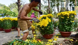 Tiểu thương tại TP.HCM đập chậu, phá hoa tránh cảnh ép giá 