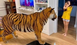 Hướng dẫn xem ảnh 3D động vật không cần dùng ứng dụng của Google